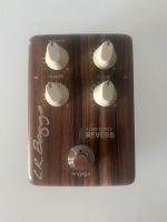 L.R. Baggs Reverb Align Series Mecklenburg-Vorpommern - Neubrandenburg Vorschau