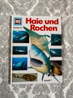 Buch: Haie und Rochen Bayern - Straubing Vorschau