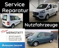 Nutzfahrzeuge Kundendienst Service Reparaturen alle Marken Niedersachsen - Hammah Vorschau