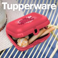 Tupperware Kleines Twin Good Vibes NEU Bayern - Horgau Vorschau