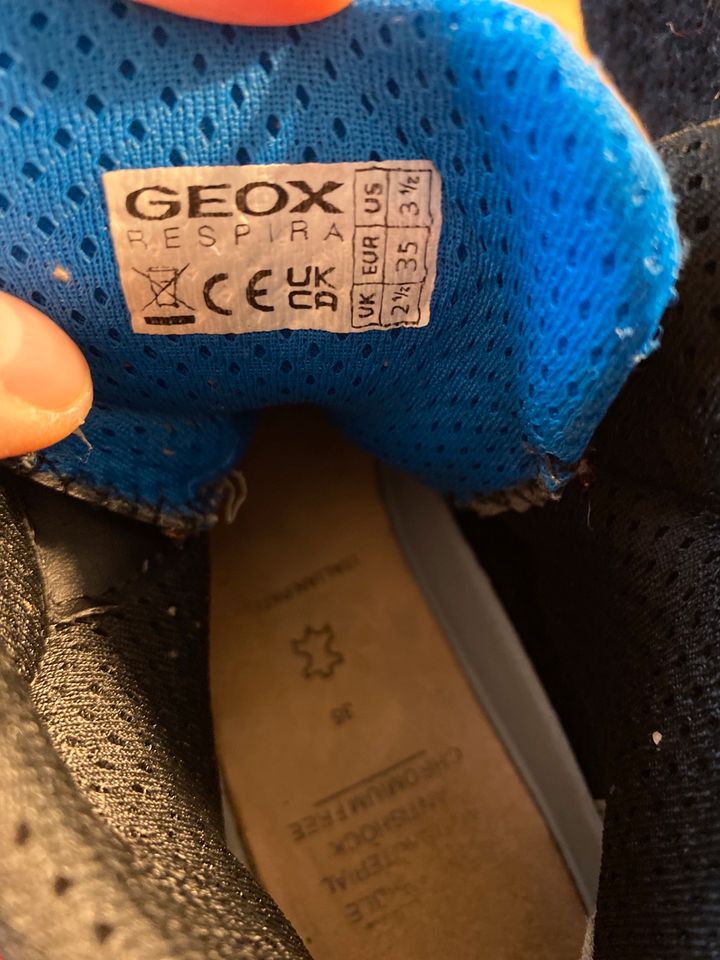 Geox Respira high top mit Leuchtfunktion in Handewitt