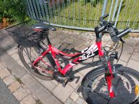 Damen Fahrrad 26 Zoll Bayern - Forchheim Vorschau