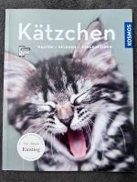 Kätzchen HALTEN - PFLEGEN - BESCHÄFTIGEN Nordrhein-Westfalen - Hagen Vorschau