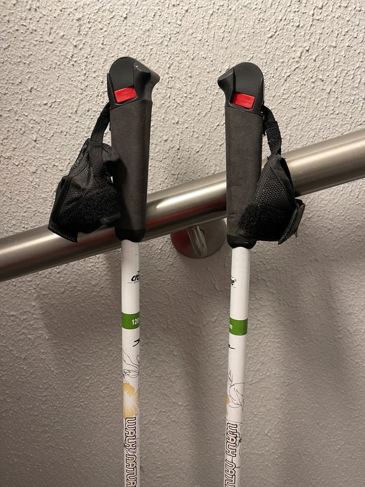 Nordic Walking Stöcke Crane Sports 120 cm Neu in Inden