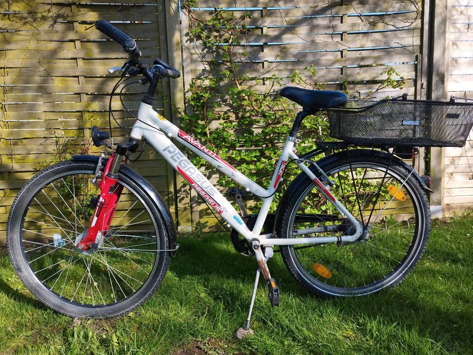 Pegasus Fahrrad Kinder Damen 26 mit korb in Zickhusen