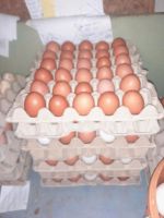 Eier (Huhn) Hessen - Wetter (Hessen) Vorschau