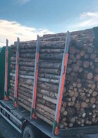 45 RM Brennholz zu verkaufen Thüringen - Gefell Vorschau