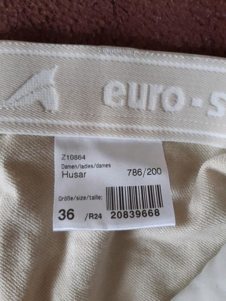 Euro-Star Damenreithose Husar Beige Ganzlederimitat Größe 36 NEU in Mömlingen