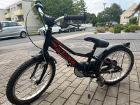 Pucky ZLX 18 Zoll Nordrhein-Westfalen - Hagen Vorschau