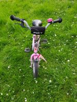 Puky Fahrrad Lillifee 12 Zoll für 90 € VHB Hessen - Groß-Gerau Vorschau