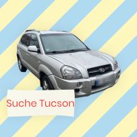Suchen Hyundai Tucson 2L Benziner Schleswig-Holstein - Sterup Vorschau