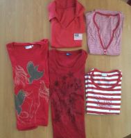 5xT-Shirt im Set,Shirtpaket, Gr. 36/38,verschiedene Marken Hessen - Schaafheim Vorschau