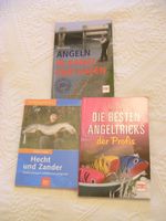 Hecht und Zander,Angeltricks, Angeln in Kanal...,Bücher, Angeln Niedersachsen - Bückeburg Vorschau