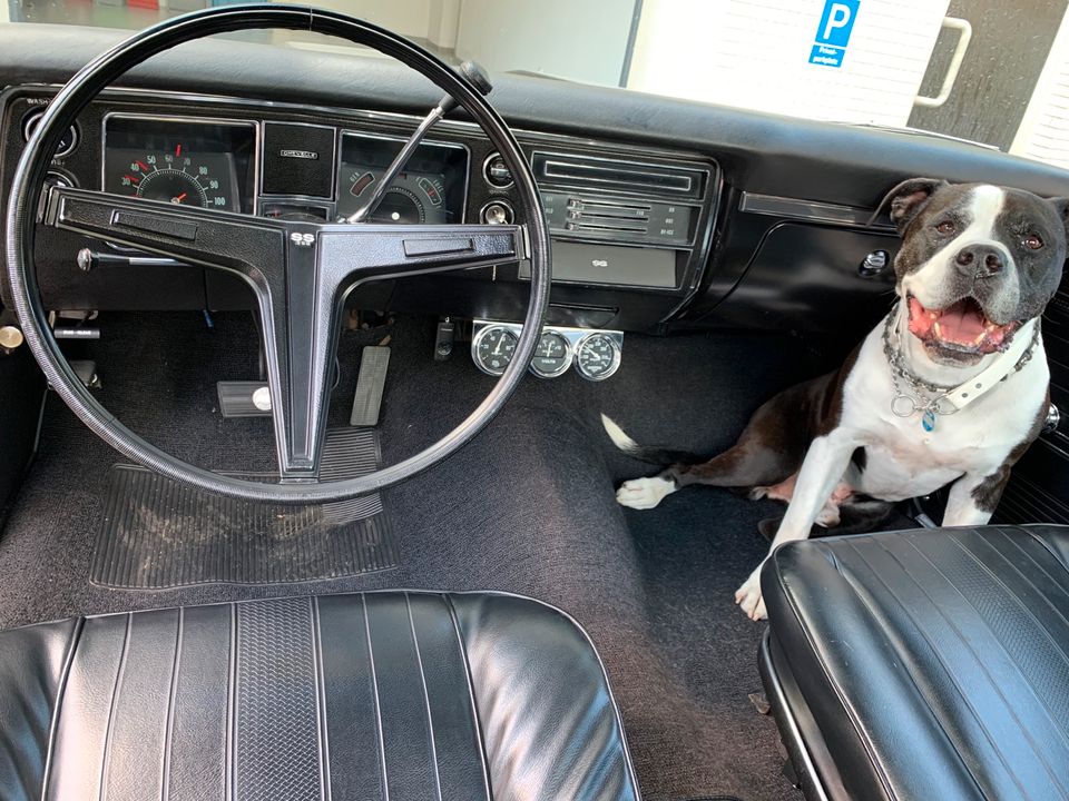 Chevrolet El Camino SS396 Bj. 1968 in Heiligenhaus