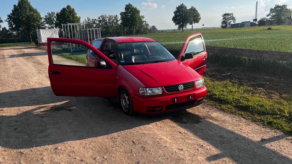 VW Polo 6n1 GTI in Gera