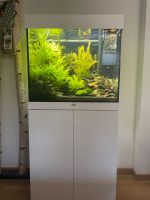 Juwel Aquarium Lido 120 Liter (weiss) Schwerin - Lankow Vorschau