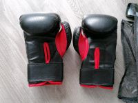 Kickboxing Handschuhe  Größe 6-oz Niedersachsen - Obernkirchen Vorschau