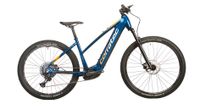 CORRATEC  E-Power X Vert Race Trapez UVP 3799,00€ Hessen - Künzell Vorschau