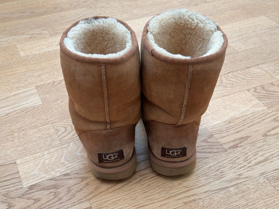 UGG Boot Classic Short Size W9 Größe 40 Camelfarben in Hamburg