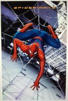 Spiderman 2   3-D Poster Baden-Württemberg - Fichtenau Vorschau