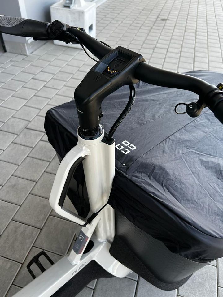 Ca Go FS 200 Life Family E-Lastenrad NEU SALE UVP 8290.- € in Wutöschingen