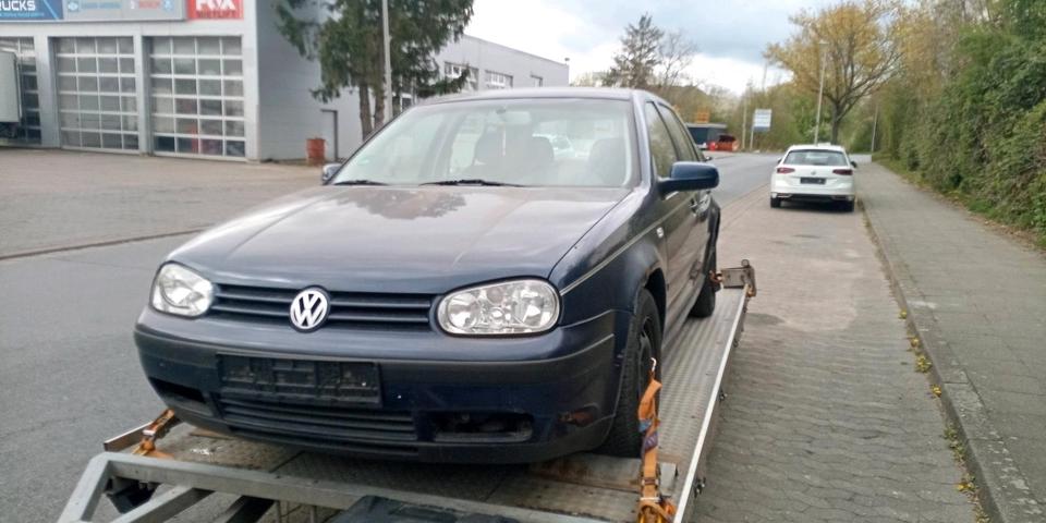 Schlachtfest Teile Golf TDI Türen LA7W Heckklappe ATD LB5N in Detmold