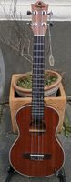 Neuware Tenor Ukulele mit Pickup/Tuner Innenstadt - Köln Altstadt Vorschau