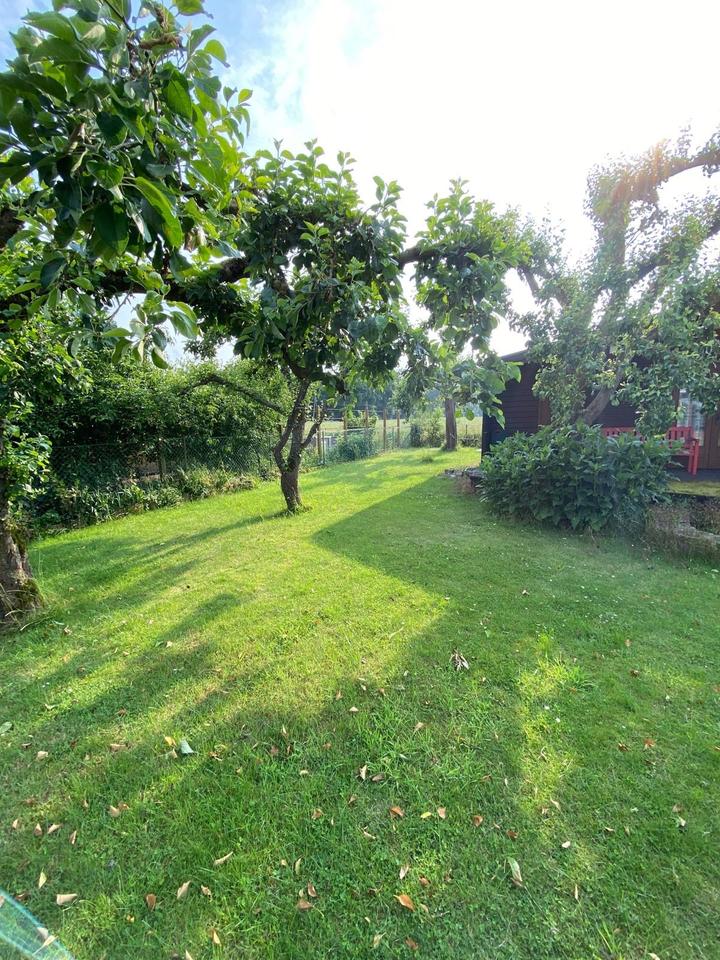 Property thumbnail 12