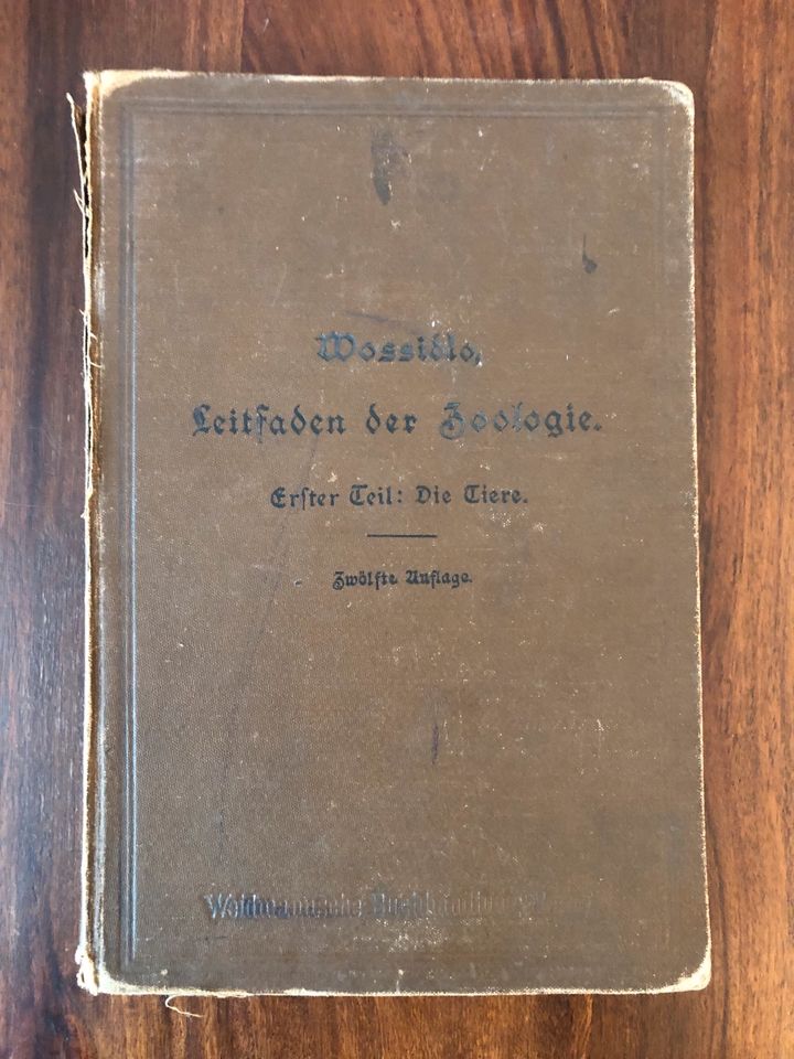 Leitfaden der Zoologie 1905 Erster Teil: die Tiere Paul Wossidlo in Eberswalde