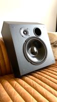 2x Krix KX-1420 Surround Lautsprecher 10“ 2-Wege Atmos High End Nordrhein-Westfalen - Gütersloh Vorschau