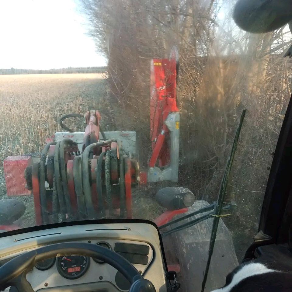 Woodkracker Fällgreifer Energieholz Forst in Moorenweis