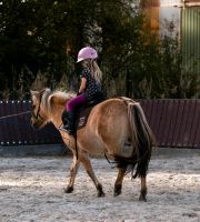 Reitlehrer/ Trainer im Reitsport m/w/d Niedersachsen - Celle Vorschau