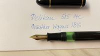 Pelikan Kolbenfüller Füller 585 Gold 14C Günther Wagner IBIS Eimsbüttel - Hamburg Harvestehude Vorschau