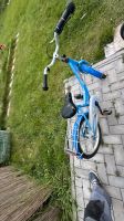 Puki Fahrrad zu verkaufen Niedersachsen - Gifhorn Vorschau