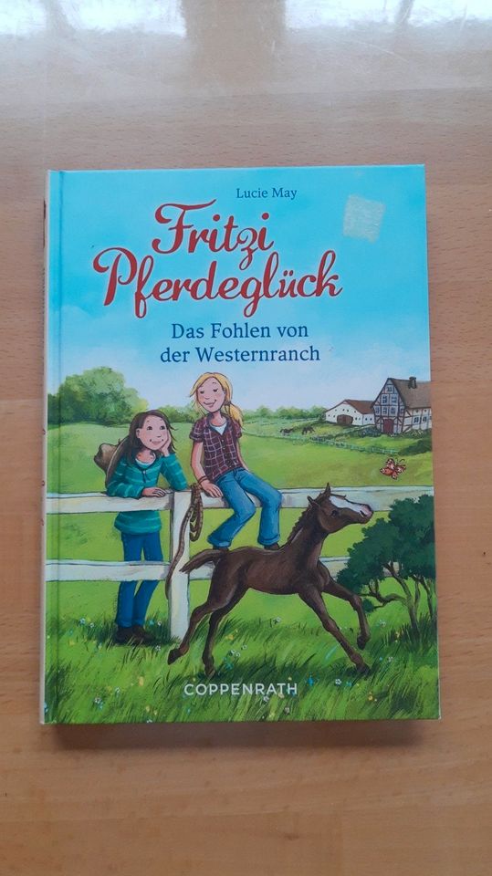 Fritzi Pferdeglück Das Fohlen von der Westernranch in Unna