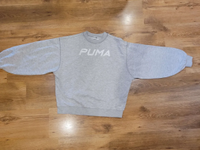 Hellgrauer PUMA Hoodie – Größe S – sehr guter Zustand Sachsen - Sehmatal-Sehma Vorschau
