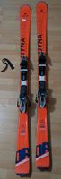 Ski Touring Dynastar Speed Zone 172 cm Super Zustand Baden-Württemberg - Ehingen (Donau) Vorschau