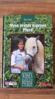Mein erstes eigenes Pferd - Wendy Kinderbuch Pony Bayern - Ammerndorf Vorschau