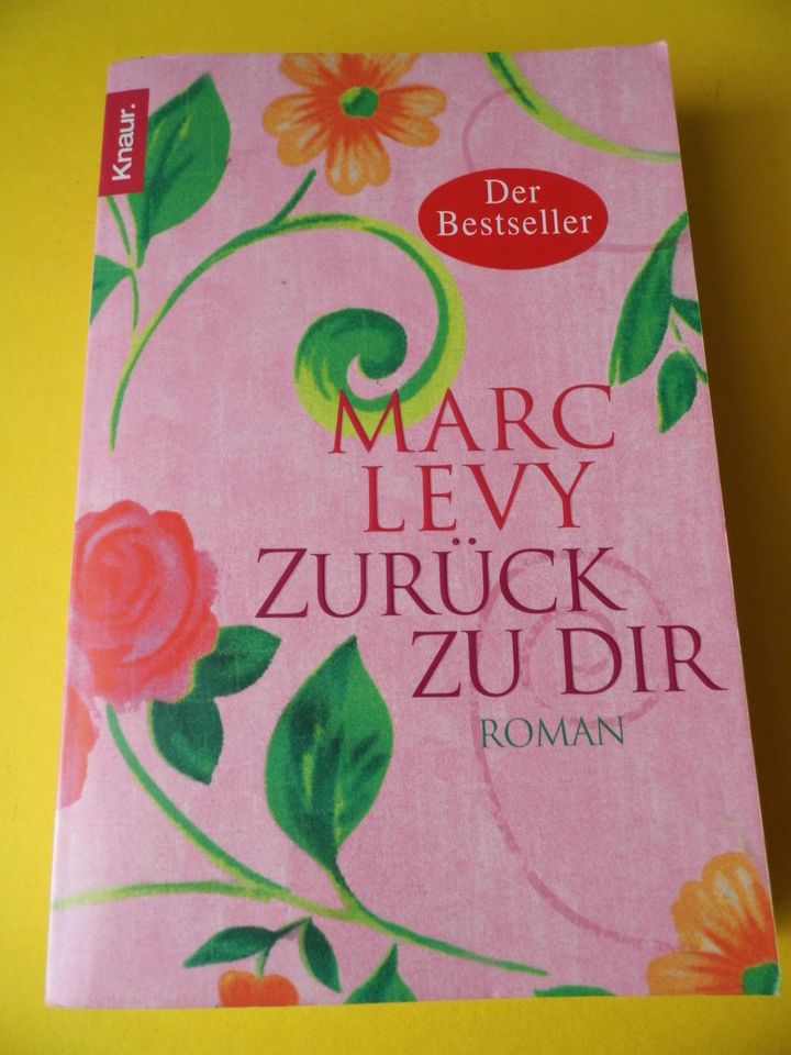Buch * Zurück zu Dir * Marc Levy Taschenbuch Roman in München