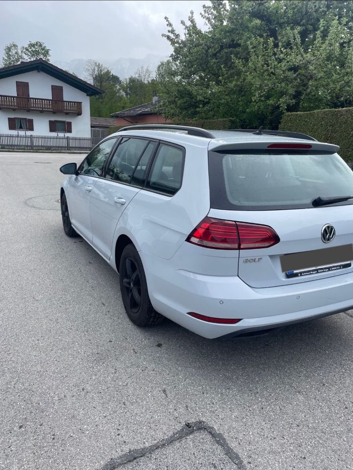 Volkswagen Golf 1.0 TSI Comfortline Comfortline in Piding