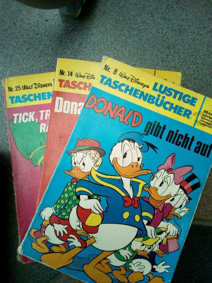 Comics Donald Duck, Biene Maja, Lustige Taschenbücher in Roxel