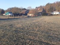 Wunderschönes Bauernhaus mit idyllischem Ausblick in Consrade Parchim - Landkreis - Plate Vorschau