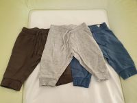 H&M Jogginghose Größe 62 Baumwolle Hosen Rheinland-Pfalz - Saulheim Vorschau