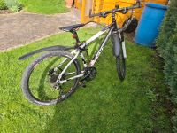 Mountainbike Dynamics Bayern - Tacherting Vorschau