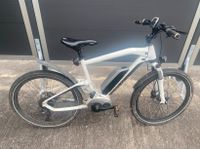 BMW E-Bike Cruise Sonderedition limitierte Auflage Thüringen - Veilsdorf Vorschau