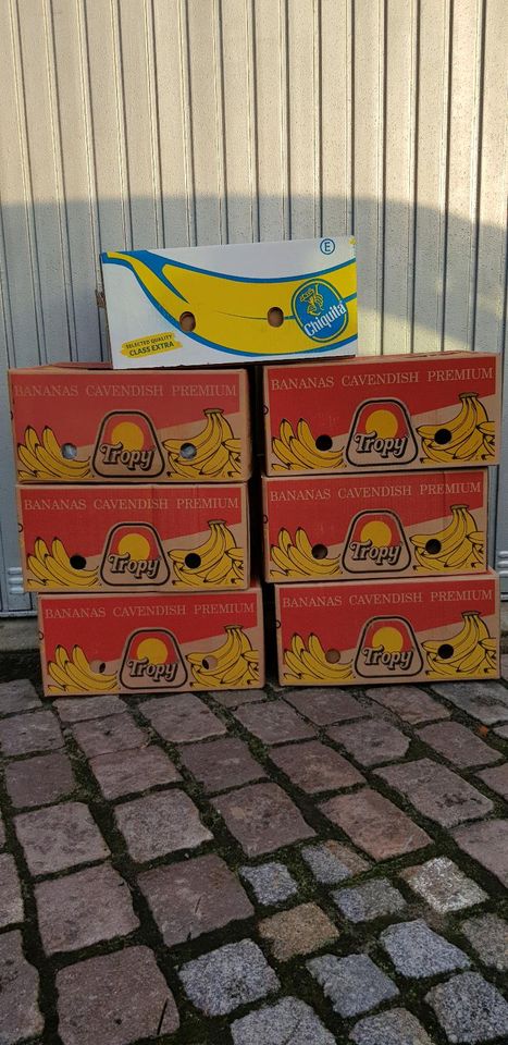 Ideale Umzugskartons Bananenkartons für Bücher in Wardenburg