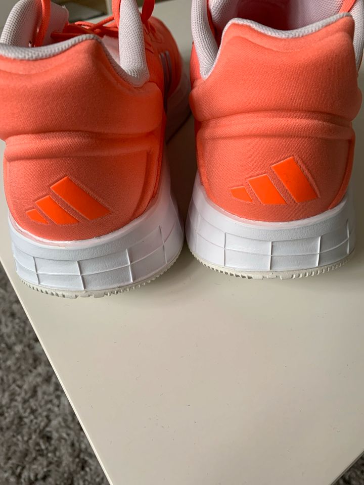 Adidas Schuhe in Neumünster
