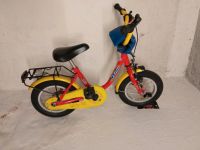 Kettler Fahrrad 12" für Kinder mit Rücktritt und Gepäckträger Dresden - Neustadt Vorschau