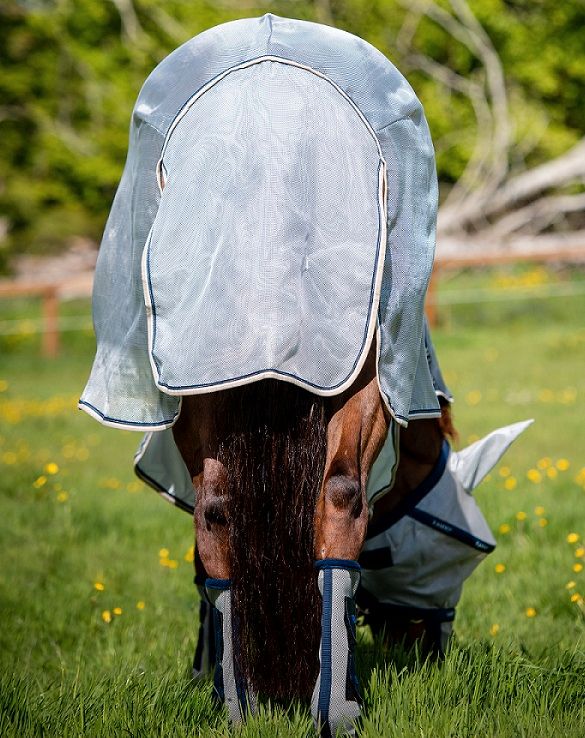 Fliegendecke, Ekzemerdecke Horseware Rambo Protector, Amigo Mio Fly, Rambo Hoody, Busse Sunshine II, Busse Strong 90,95,100,110,115,125,130,140,145,155,160,165 auch Big Size Neuware in Kempen