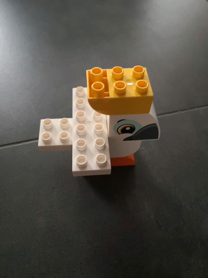 Lego Duplo Tier Zug 10863, plus Kakadu, sehr guter Zustand in Troisdorf